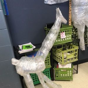 Meet your Posher, Ali